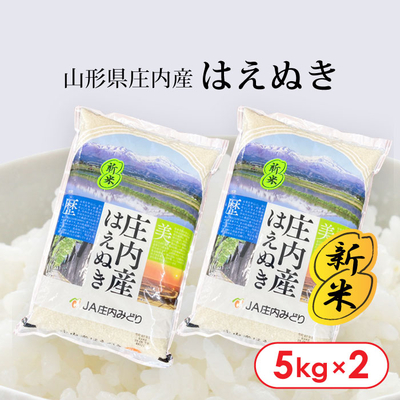 【新米】R7年産 山形県庄内産「はえぬき」10kg