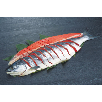 込凍RC−11/2777紅鮭（姿切身）