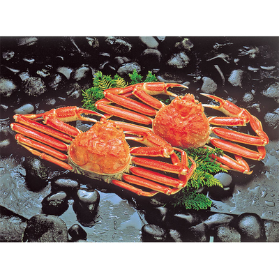 込凍BZG−2/2789ボイルずわいがに2尾セット