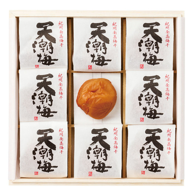 県無TMO30/2828天潮梅