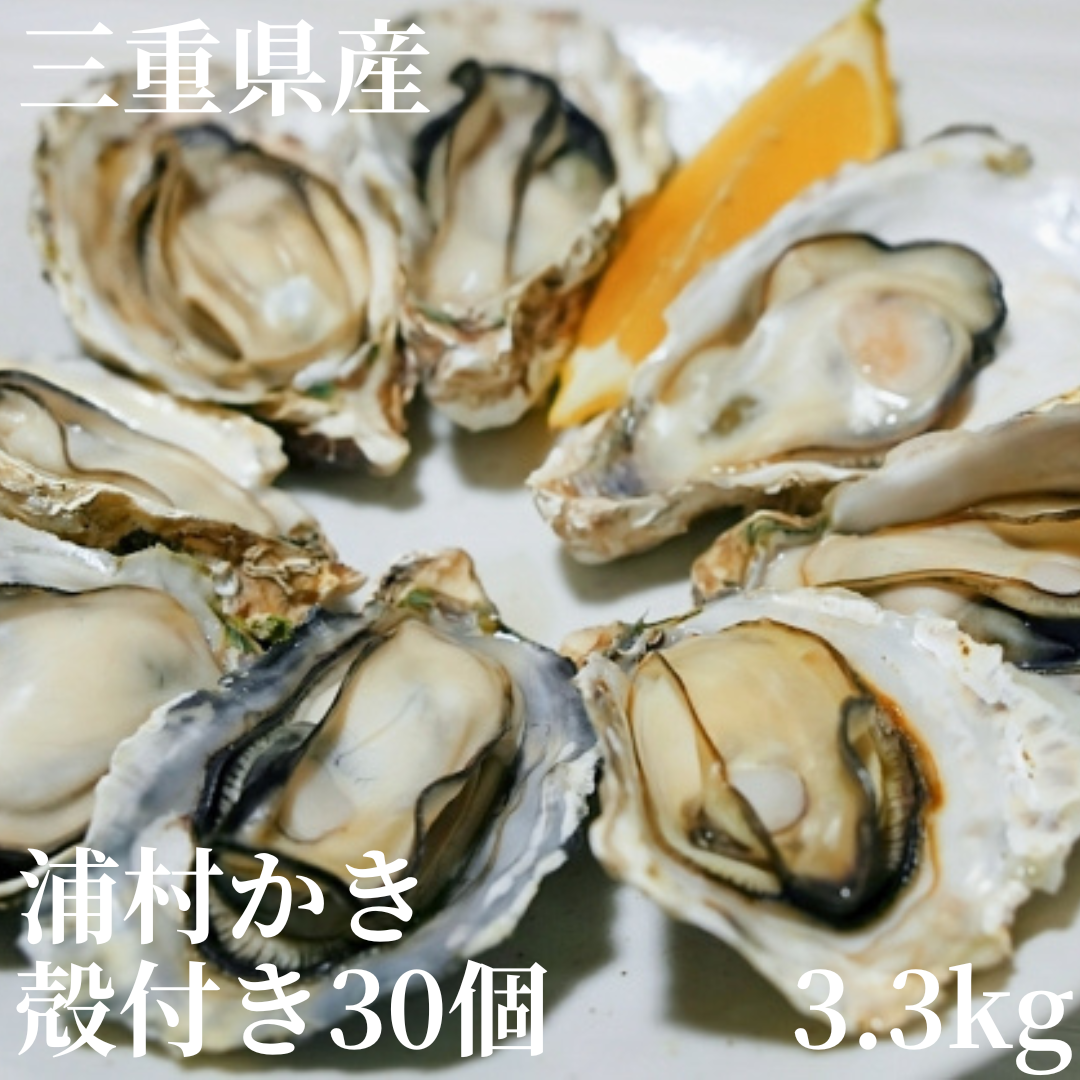 BBQに牡蠣】【生牡蠣】三重県産 生食用 殻付き 浦村かき MLサイズ30個