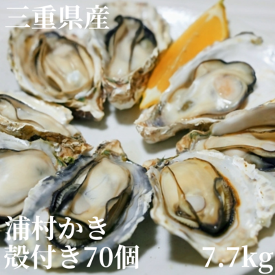 生牡蠣】三重県産 生食用 殻付き 浦村かき MLサイズ70個入り（約7.7Kg