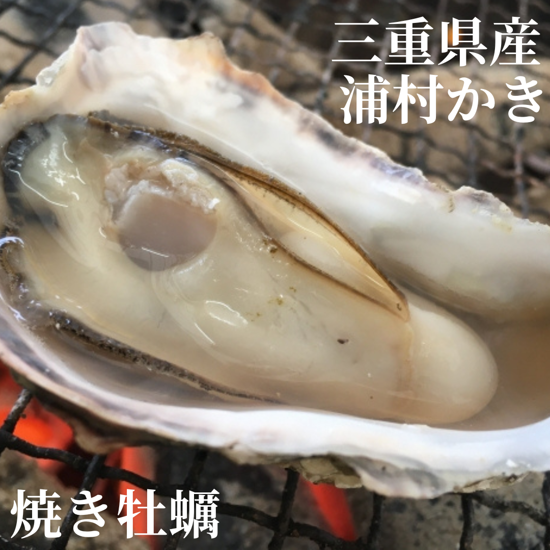 BBQに牡蠣】【生牡蠣】三重県産 生食用 殻付き 浦村かき MLサイズ70個