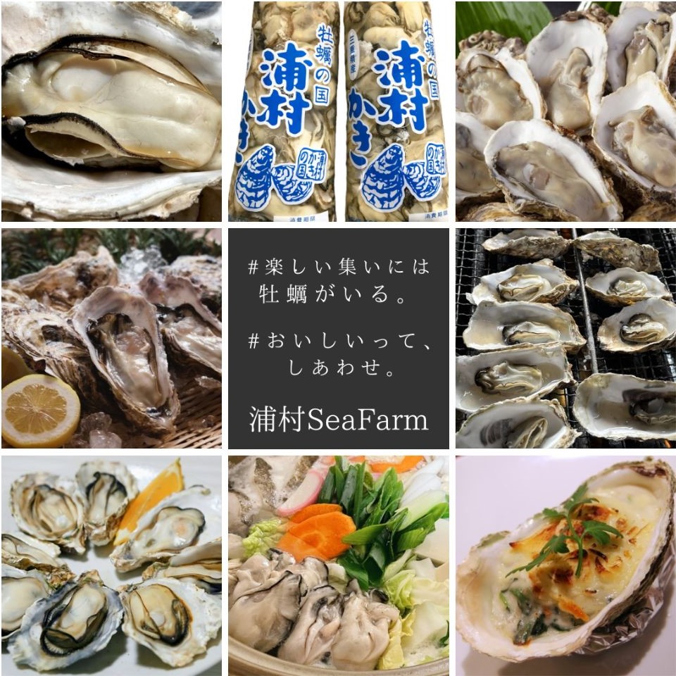 ◇お試しサイズ◇ 【生牡蠣】【生食用】三重県産 浦村かき むき身 牡蠣