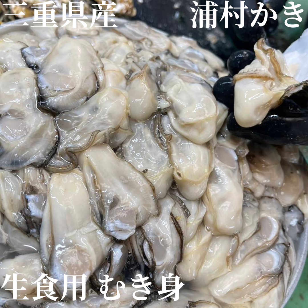 生牡蠣】三重県産 生食用 浦村かき むき身 牡蠣（500g入り）×2袋 生で