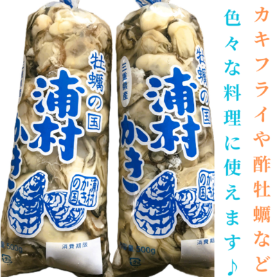 【10月10日以降のお届け】【生食用】三重県産 生食用 浦村かき むき身 牡蠣（500g）１袋 　生で食べれる衛生的な牡蠣です！