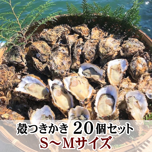 【休業日はプロフ参照】生牡蠣「生食用 殻付き 牡蠣 20ｋｇ」２０キロ 牡蠣 殻付き 牡蛎 牡蠣 殻付 宮城県産 カキ 松島牡蠣屋 牡蠣食べ放題 楽天市場】【最大100%Pバック】牡蠣 殻付き 生牡蠣 「生食用