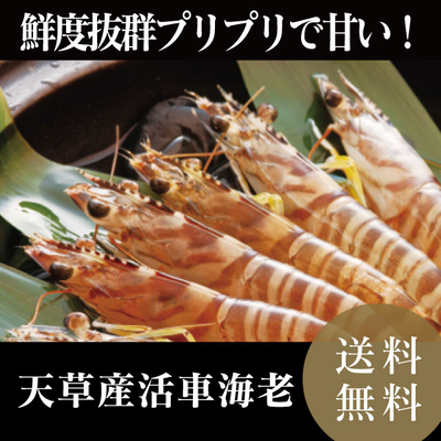 LOT海老？ LOT海老？