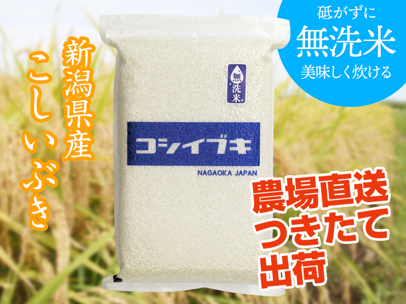 令和7年産】無洗米こしいぶき｜長岡 ほそかわ農場 | ほそかわ農場