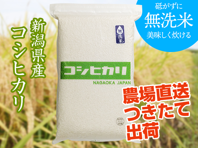 令和6年産新米 令和6年度産 5キログラム×15無洗米