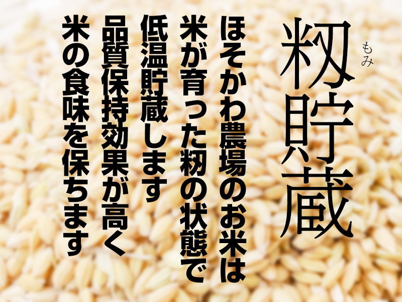 食品 新米☆コシヒカリ玄米30kg 令和5年度産 岐阜県垂井町産