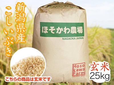【新米】令和７年産 新潟県産こしいぶき　玄米（30kg）
