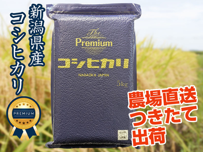 【新米】令和7年産 新潟県産ザ・プレミアム・コシヒカリ　白米（5kg）