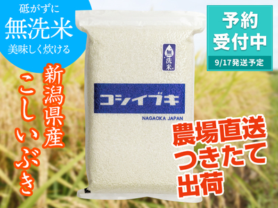 【新米】令和８年産 無洗米 新潟県産こしいぶき（5kg）