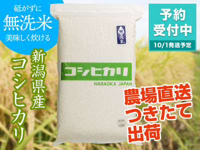 【新米】令和８年産 無洗米 新潟県産 コシヒカリ （5kg）