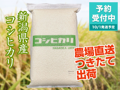 【新米】令和８年産 新潟県産コシヒカリ　白米（5kg）