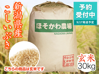 令和8年産】コシヒカリ 玄米（30kg）｜長岡 ほそかわ農場 | ほそかわ農場