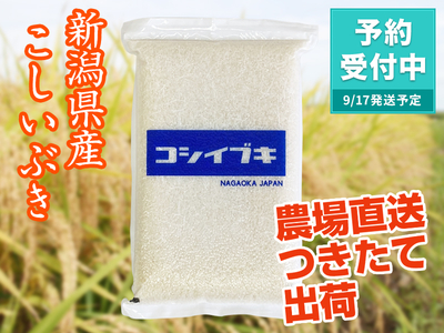 【新米】令和８年産 新潟県産こしいぶき　白米（5kg）