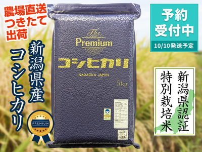 【新米】令和８年産 新潟県産ザ・プレミアム・コシヒカリ　白米（5kg）