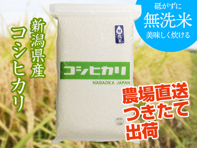 【新米】令和８年産 無洗米 新潟県産 コシヒカリ （5kg）