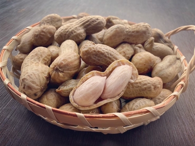 【令和７年度】新豆　生落花生「おおまさり」２kg
