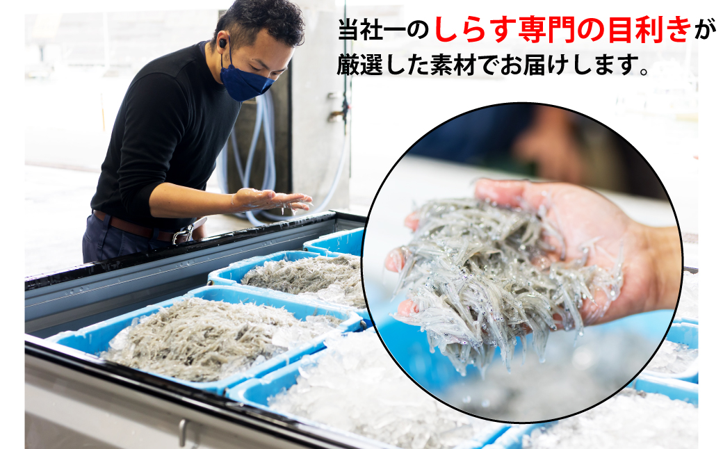 まるでお刺身生しらす 人気NO,2 【冷凍】選べるタレセット 70g