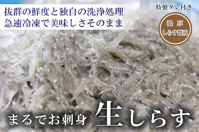 おしらす 駿河湾産お刺身用冷凍生しらす60g×8: しずおか『手しお屋