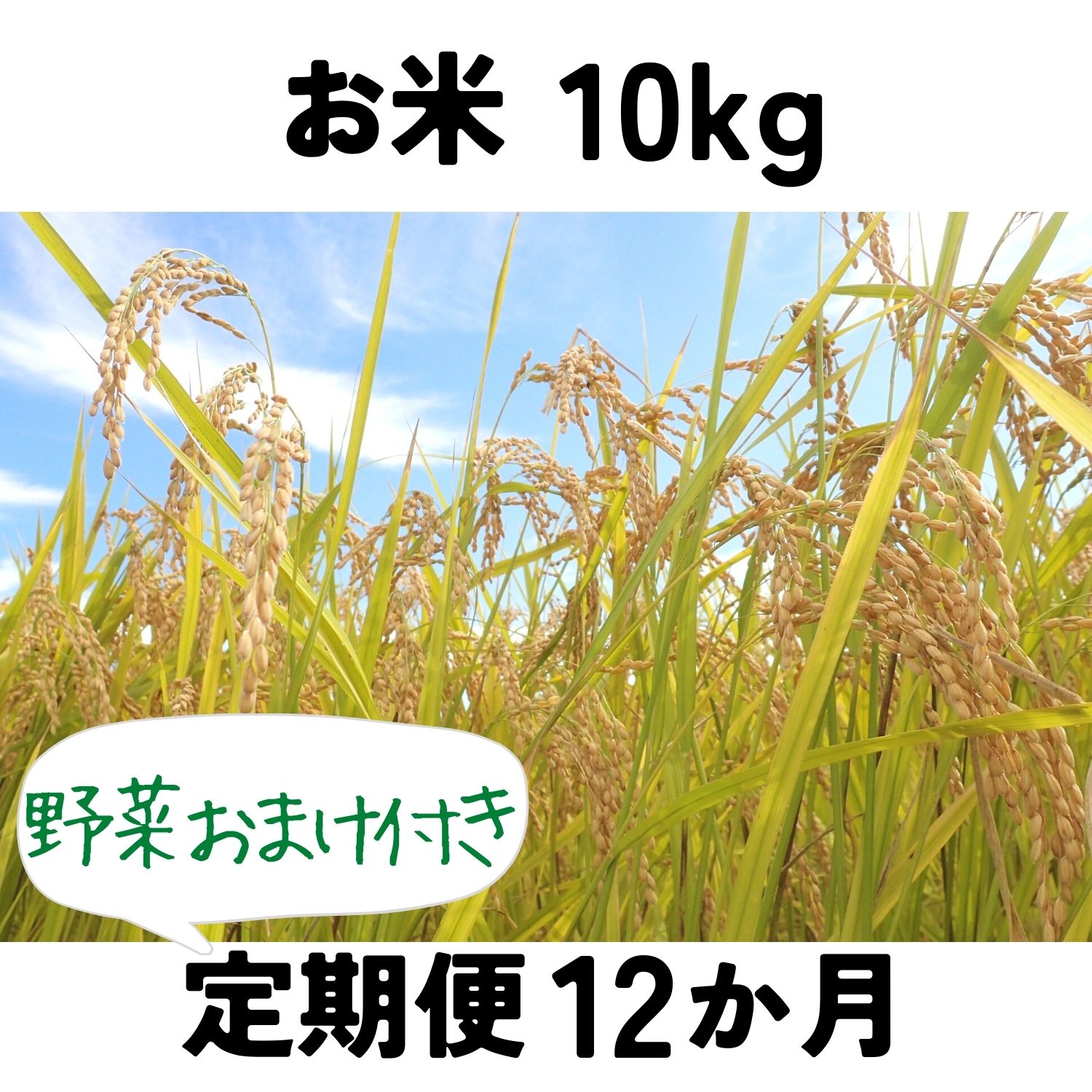 はらんなかの米定期便12か月 野菜おまけ付き | はらんなかネット店