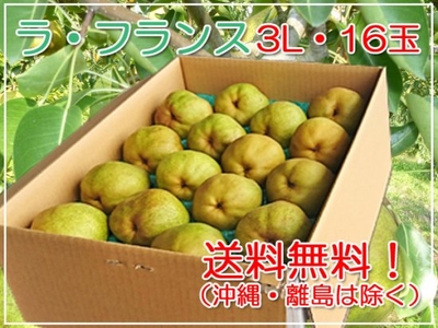 ラ・フランス秀品　5㎏3L（16玉）