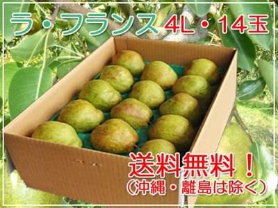 ラ・フランス5㎏4L（14玉）