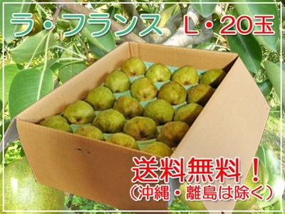 ラ・フランスお徳用　5㎏L（20玉）