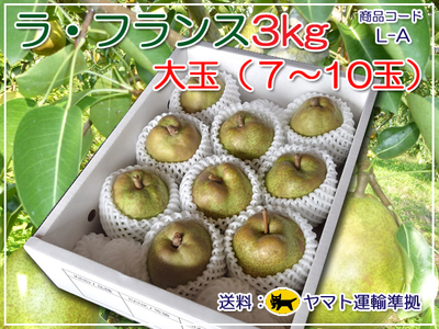 ラ・フランス３ ㎏大玉（7～10 玉）
