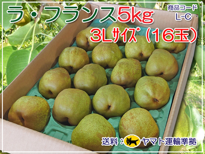 ラ・フランス５㎏ 16 玉（３L）