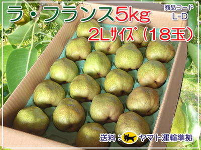 ラ・フランス５㎏ 18 玉（２L）