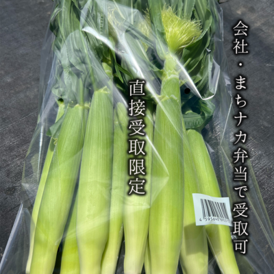 -受取限定- 麓もろこしヤングコーン(10本単位)