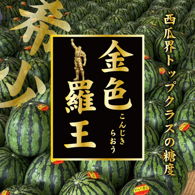 幻の黄金スイカ「金色羅王」1玉(2Lup) 