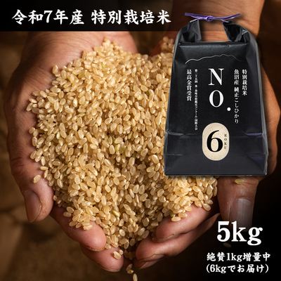 令和7年産 魚沼産コシヒカリ 特別栽培米 NO.6 - 5kg - （10/15頃より順次発送）