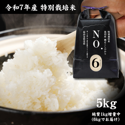 令和7年産 魚沼産コシヒカリ特別栽培米【従来品種】玄米 20kg（10キロ×2） 令和7年産 魚沼産コシヒカリ 特別栽培米 No.6 - 5kg - (＋1kg増量中