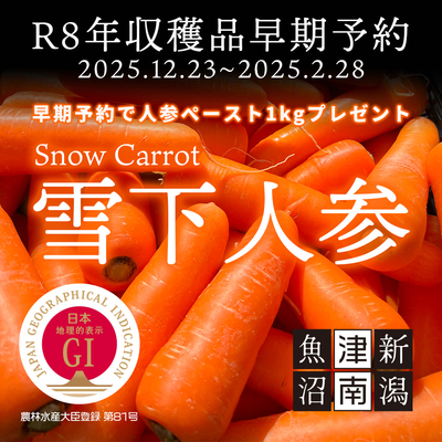 早期予約 R8年収穫品雪下にんじん【3/15~発送】