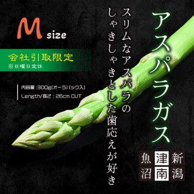 会社受取限定　新潟県津南産アスパラガス(Mサイズ) - 300gパック/1kg化粧箱