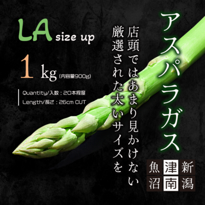 送料込　新潟県津南産アスパラガス(厳選LAサイズ以上)1kg(内容量900g)