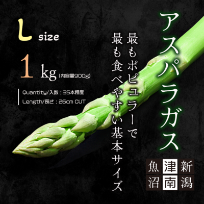 送料込　新潟県津南産アスパラガス(Lサイズ)1kg(内容量900g)