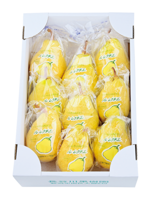 産地直送長谷川さんのル・レクチェ（3kg）