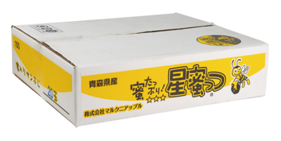 青森県産　星蜜っつ　蜜入りサンふじりんご（9～12玉）