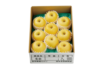 冬恋りんご（5～7玉）