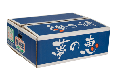 夢の恵（高糖度みかん）4㎏