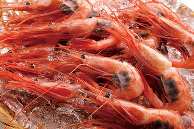 生南蛮海老（大）８００ｇ　化粧箱入