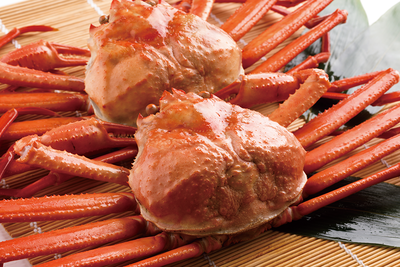 ゆで紅ずわいがに（大）２杯　化粧箱入