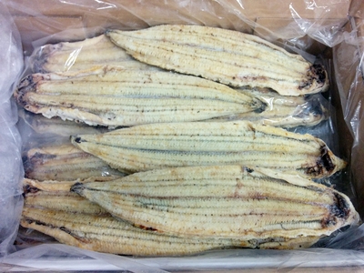 国産うなぎの白焼き　無投薬　有頭背開き80尾