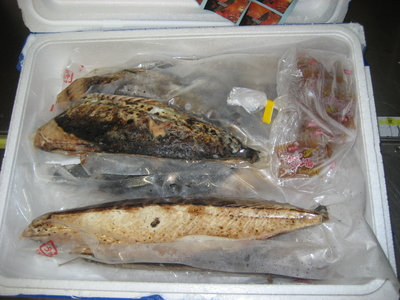 藁焼き　鰹たたきロイン2.5上（６～７本）